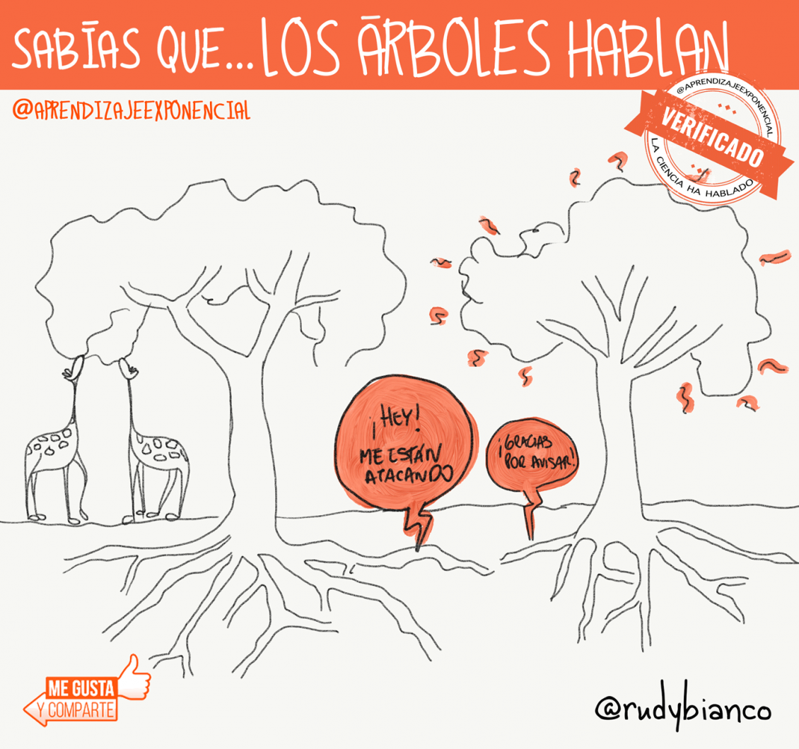 Sabias que los árboles hablan?