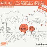 Sabias que los árboles hablan?